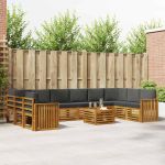 Seturi de canapele cu pernă 11 pcs Natural și Antracit GartenMobel Dekor