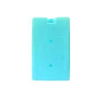 Pachet de gheață reutilizabil 1000 g pentru geantă frigorifică, Perfect Home