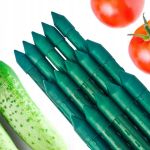 Arac de susținere pentru plante 150 cm, Ø16 mm, oțel plastifiat verde