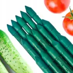 Arac de susținere pentru plante 150 cm, Ø16 mm, oțel plastifiat verde
