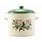 Oală emailată Oliva 5,2 L cu capac, 20 cm, pentru supe și tocănițe