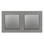 Întrerupător dublu unipolar Leziter Nova 10A/250V, montaj îngropat, ramă gri