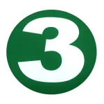 Abțibild auto normă poluare Euro 3, rotund, diametru 22 cm