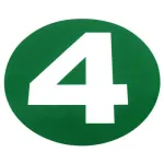 Abtibild rotund normă de poluare EURO 4, diametru 22 cm, pentru auto