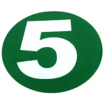 Abțibild normă de poluare Euro 5, rotund verde, diametru 22 cm