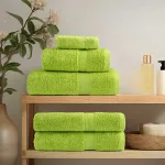 Prosop pentru musafiri SOLUND 4 pcs Verde 15 x 21 cm 550 gsm GartenMobel Dekor