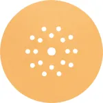 Set 25 foi abrazive Bosch C470, 225 mm, granulație G100, 19 găuri