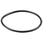 REMS O-ring 060107
