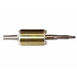 Rotor pentru pompă de suprafață JET150 1100W, compatibil TAIFU