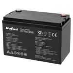 ACUMULATOR GEL 12V 100AH REBEL BAT0421 SafetyGuard Surveillance