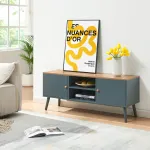 Comodă TV Reyljand cu 2 uși, 120x35x50 cm, gri și stejar