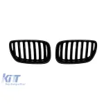 Grile rinichi cu nervuri simple vopsite în negru, potrivite pentru BMW X5 E53 2004-2007 Performance AutoTuning
