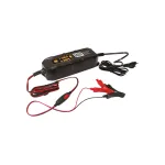Incarcator inteligent baterie auto 3.8A 6-12V pentru AGM/Gel Carpoint