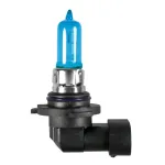 Set 2 becuri halogen auto HB3 9005 65W 12V Blu-Xe P20d