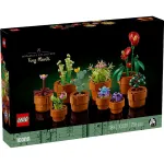 LEGO Icons Plante de mici dimensiuni 10329, set decorativ pentru adulti