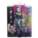 Papusa Monster High Frankie Stein cu animalutul Watzie si accesorii