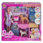 Barbie Clinica Veterinara Fast Cast cu papusa si accesorii