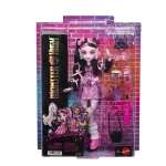 Papusa Monster High Draculaura cu accesorii, look gotic si pet