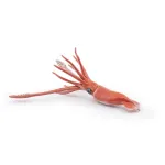 Figurină Papo Calamar Gigant realistă, pictată manual, 23 cm