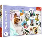 Puzzle Trefl 300 piese Poze din Vacanță pentru copii 8+