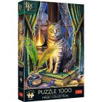 Puzzle Trefl 1000 piese Premium Plus Cartea Umbrelor, multicolor