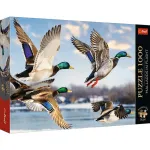 Puzzle Trefl Premium Plus 1000 piese cu rate sălbatice în zbor