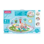 Salteluță cu activități pentru bebeluși Winfun, 0+ luni, multicolor
