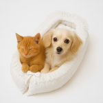 Culcus pentru caini si pisici de talie mica - alb