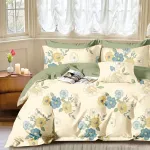 Lenjerie de pat Percale 2PXXL din bumbac, 4 piese, crem verde PRC182