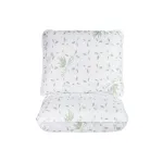 Set 2 perne matlasate Somnart Aloe Vera 60x60 cm, microfibra