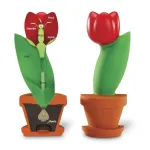 Model educativ de secțiune a florii tip lalea, 15 cm