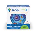 Model educativ celulă animală în secțiune, din spumă moale, 12,7 cm