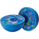 Model educativ celulă animală în secțiune, din spumă moale, 12,7 cm