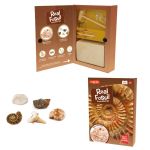 Kit de paleontologie pentru copii cu 5 fosile reale de excavat