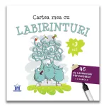 Carte cu labirinturi reutilizabile pentru copii 3+ cu carioca lavabila