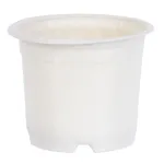 Ghiveci rotund pentru răsaduri Strend Pro 10,5x8,5 cm, set 10 bucăți