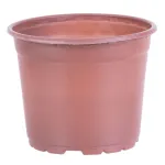 Ghiveci rotund pentru răsaduri Strend Pro 17x13,5 cm, set 10 bucăți