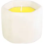 Lumânare Citronella repelentă în suport din ciment, 85 g, 90x75 mm