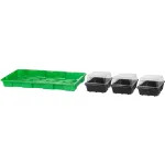 Mini sera pentru rasaduri Strend Pro Herrison, 3 alveole, 57x24,5x13,5 cm