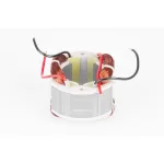 Stator Worcraft DS-220, piesă de schimb pentru unealtă electrică