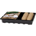 Mini sera pentru răsaduri Strend Pro, 67 piese, cu capac, 37,5x23x6 cm