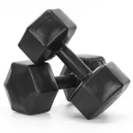 Set gantere hexagonale 2x10 kg cu invelis PP rezistent, negre