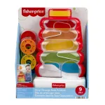 Jucarie Fisher-Price de dezvoltare cu turn si discuri colorate, 9+ luni