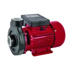 Pompa de apa Raider 750W RD-1.5DK20 pentru irigatii si rezervoare
