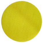 Discuri smirghel Ø225 mm K100 Velcro pentru slefuitor pereti Raider