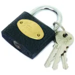 Lacăt metalic 50 mm Top Strong cu chei pentru uși, porți și depozitare