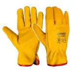 Mănuși Universale PG06 TMP