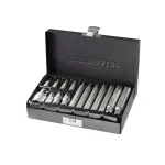 Set 15 buc biti RIBE M6-M14X 30/75mm + adaptor 1/2'' TMP