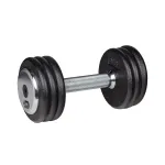 Gantera fixa 10 kg inSPORTline din fonta, cu maner cromat antiderapant
