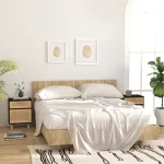 Noptiere, 2 buc., alb, lemn masiv de pin și ratan natural GartenMobel Dekor